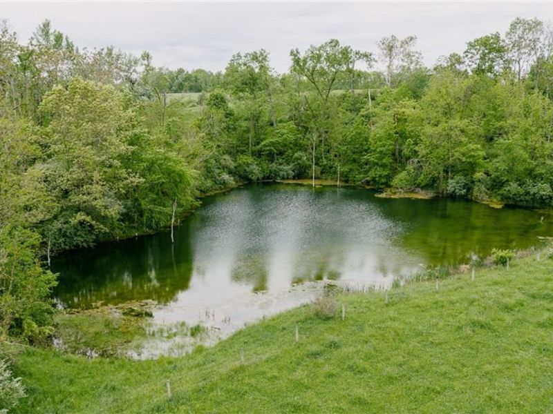 84205 Rose Valley Road, Hopedale, OH 43907 Photo 14