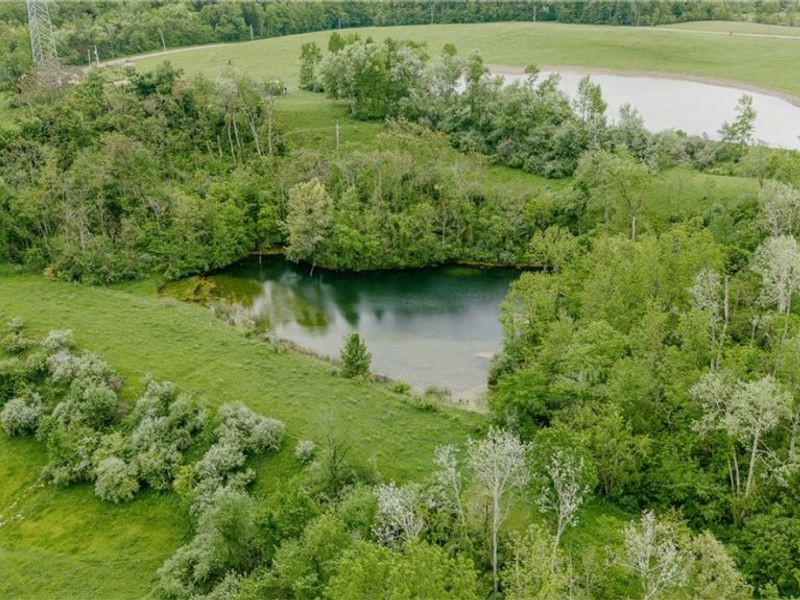 84205 Rose Valley Road, Hopedale, OH 43907 Photo 16