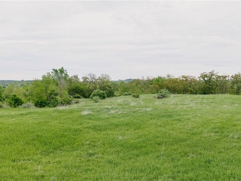 84205 Rose Valley Road, Hopedale, OH 43907 Photo 6