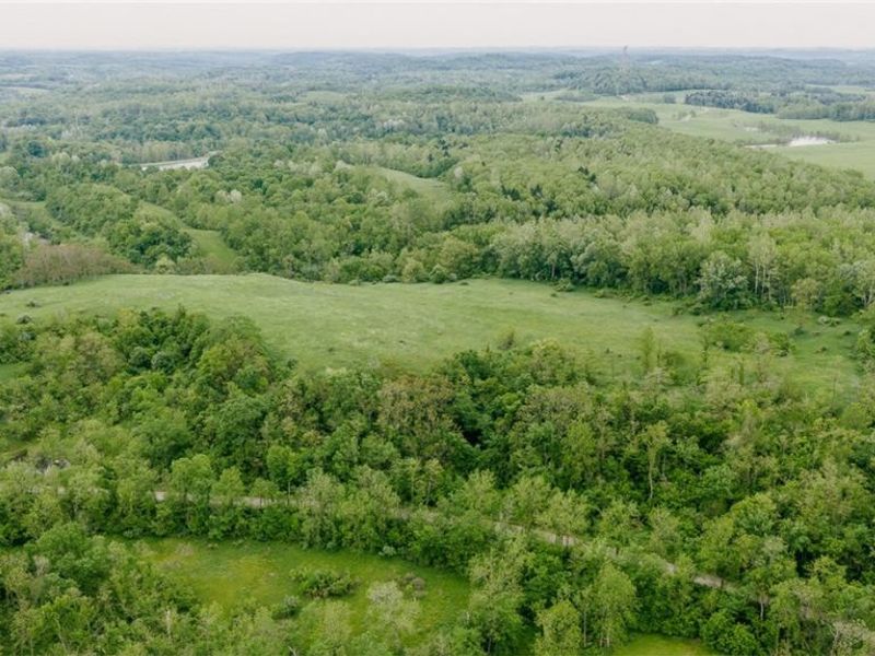 84205 Rose Valley Road, Hopedale, OH 43907 Photo 8