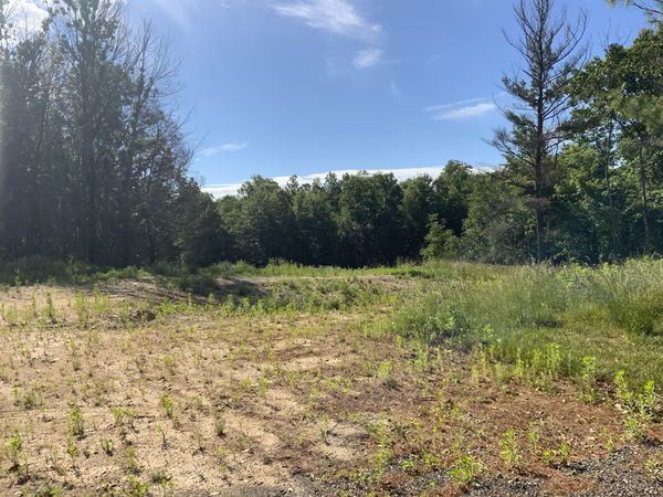 16000 NE Force Avenue NE, Cedar Springs, MI 49319