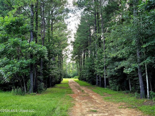 1179 Shady Grove Road, Osyka, MS 39657