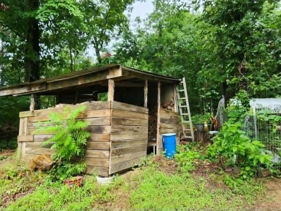 Property Image 11