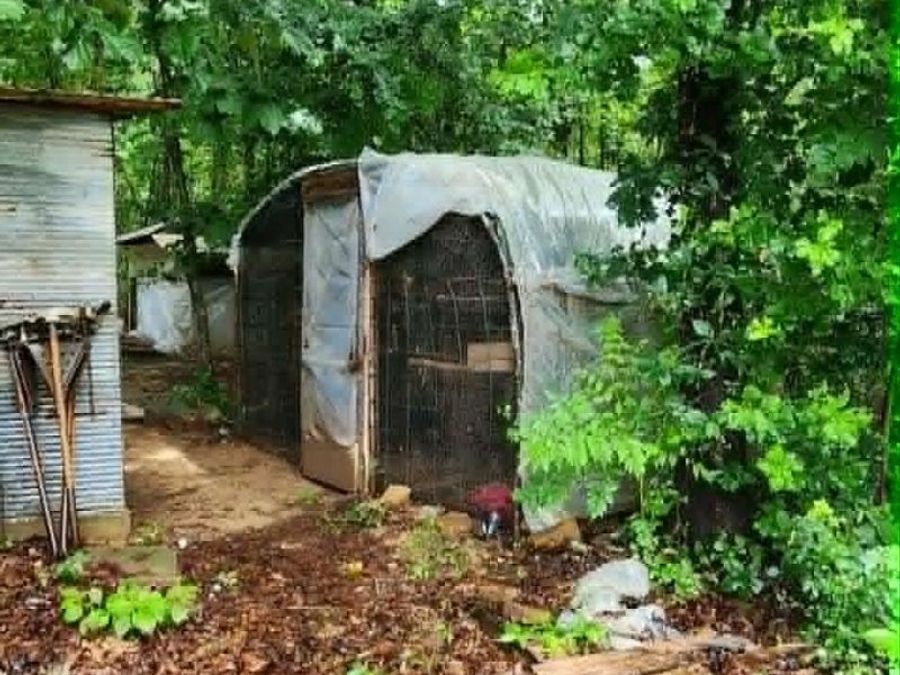 Property Image 17