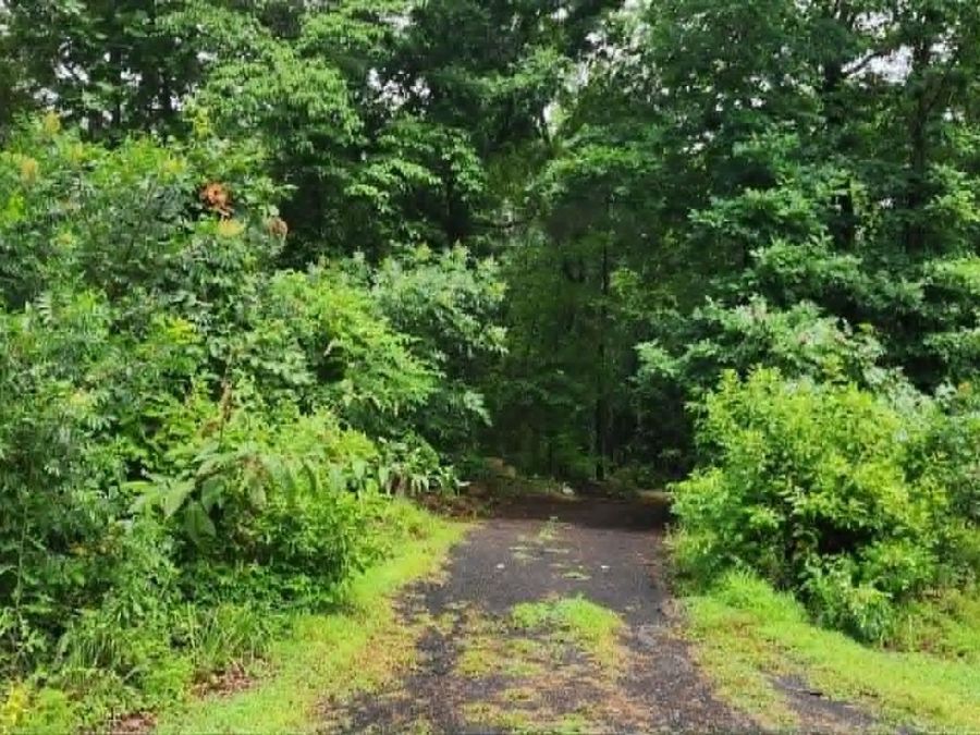 Property Image 6