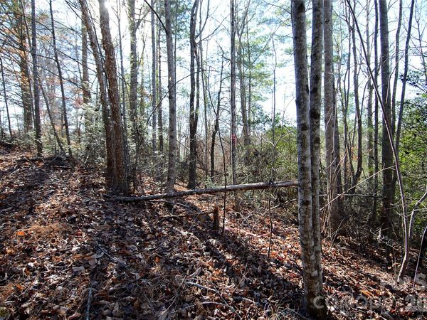 0 Wildwood Mountain Lane , Marion, NC 28752