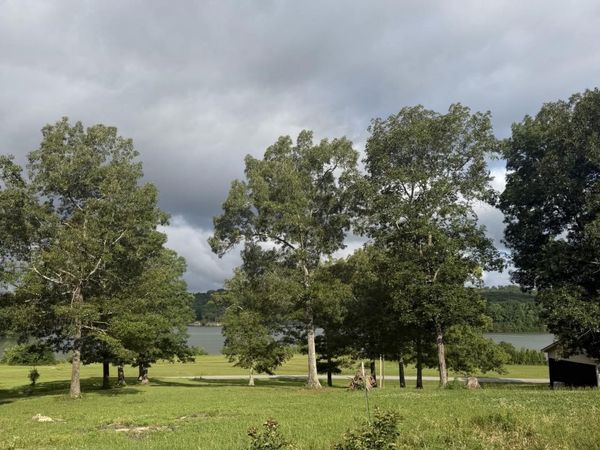 00 Lot 2 Lost Creek Rd, Russellville, AL 35653