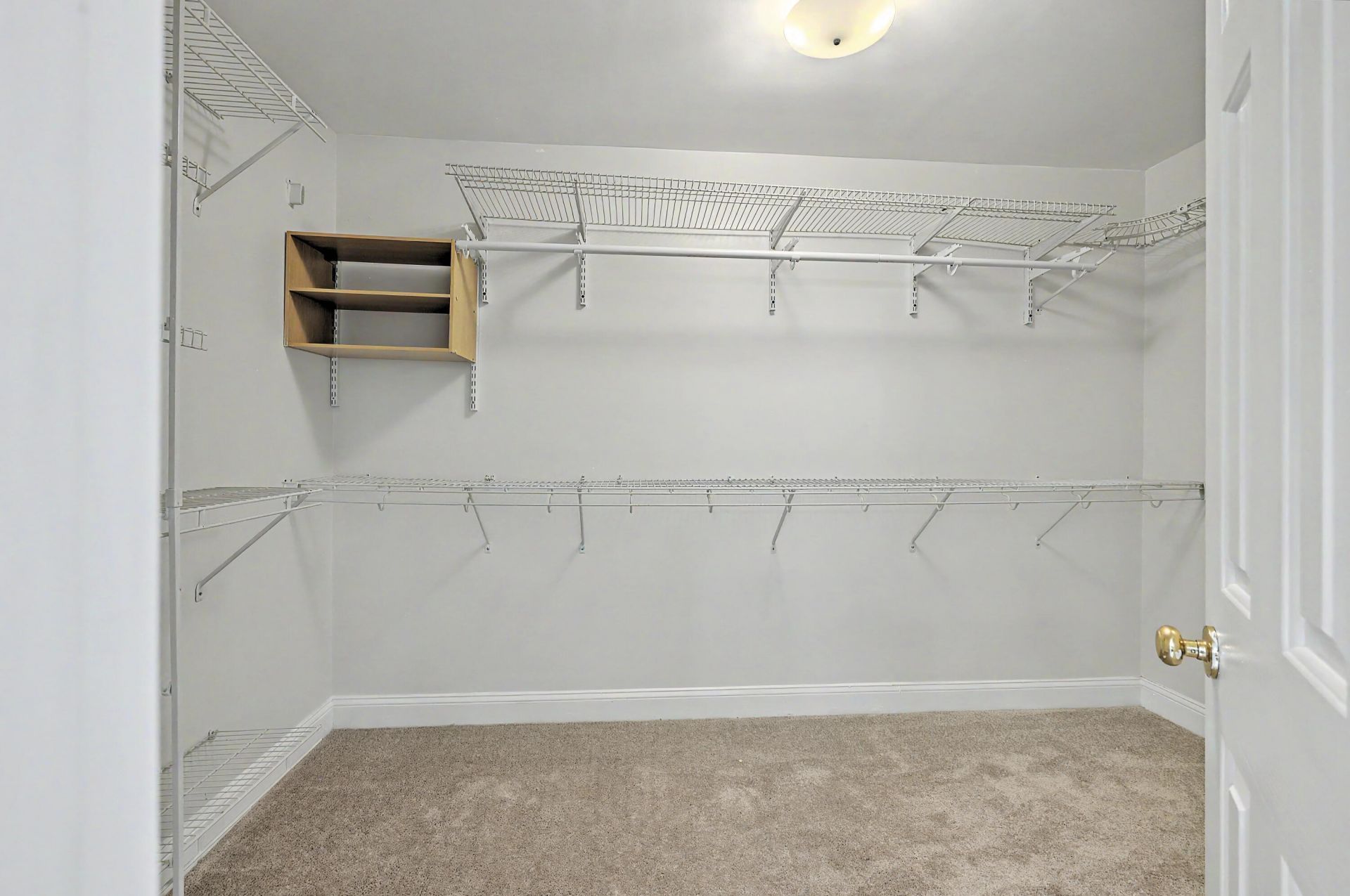 8708 Alexandria Drive Photo 41