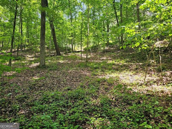 549 NE Myriad Way, Unit 549, Ranger, GA 30734