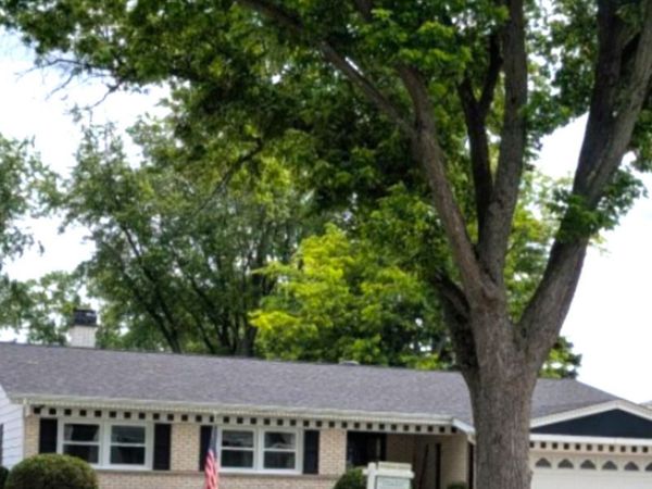1825 E Sitka Lane E, Mount Prospect, IL 60056