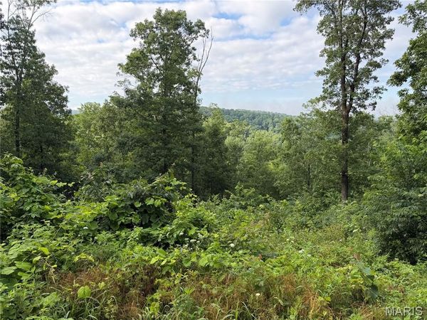 CR 453 Lots 393,394,395,396 & 729,730,731, Piedmont, MO 63957