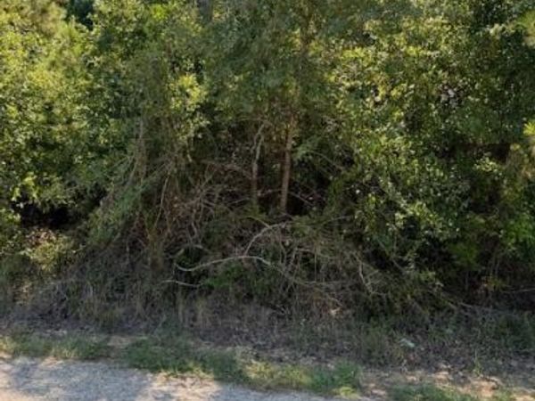 Lot 1355 N Kaupo DR , Bastrop, TX 78602