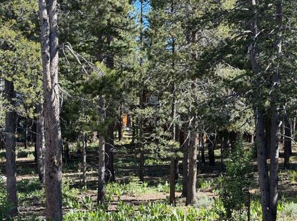 12903 Northwoods Boulevard, Truckee, CA 96161 Photo