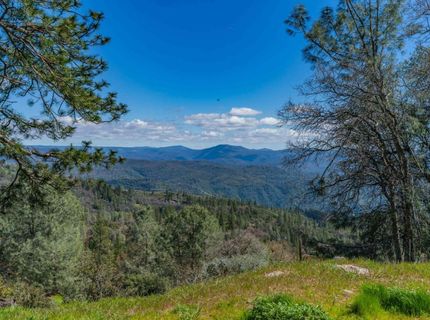 1033 Sandalwood Dr, Murphys, CA 95247 Photo