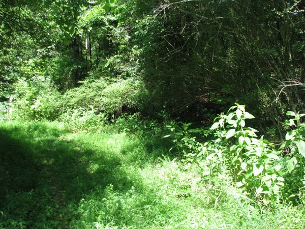 0 Matthews Hollow Rd , Waverly, TN 37185