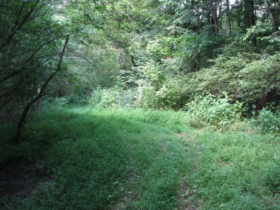 Property Image 5