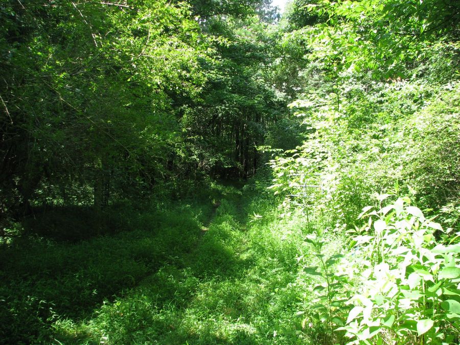 Property Image 8