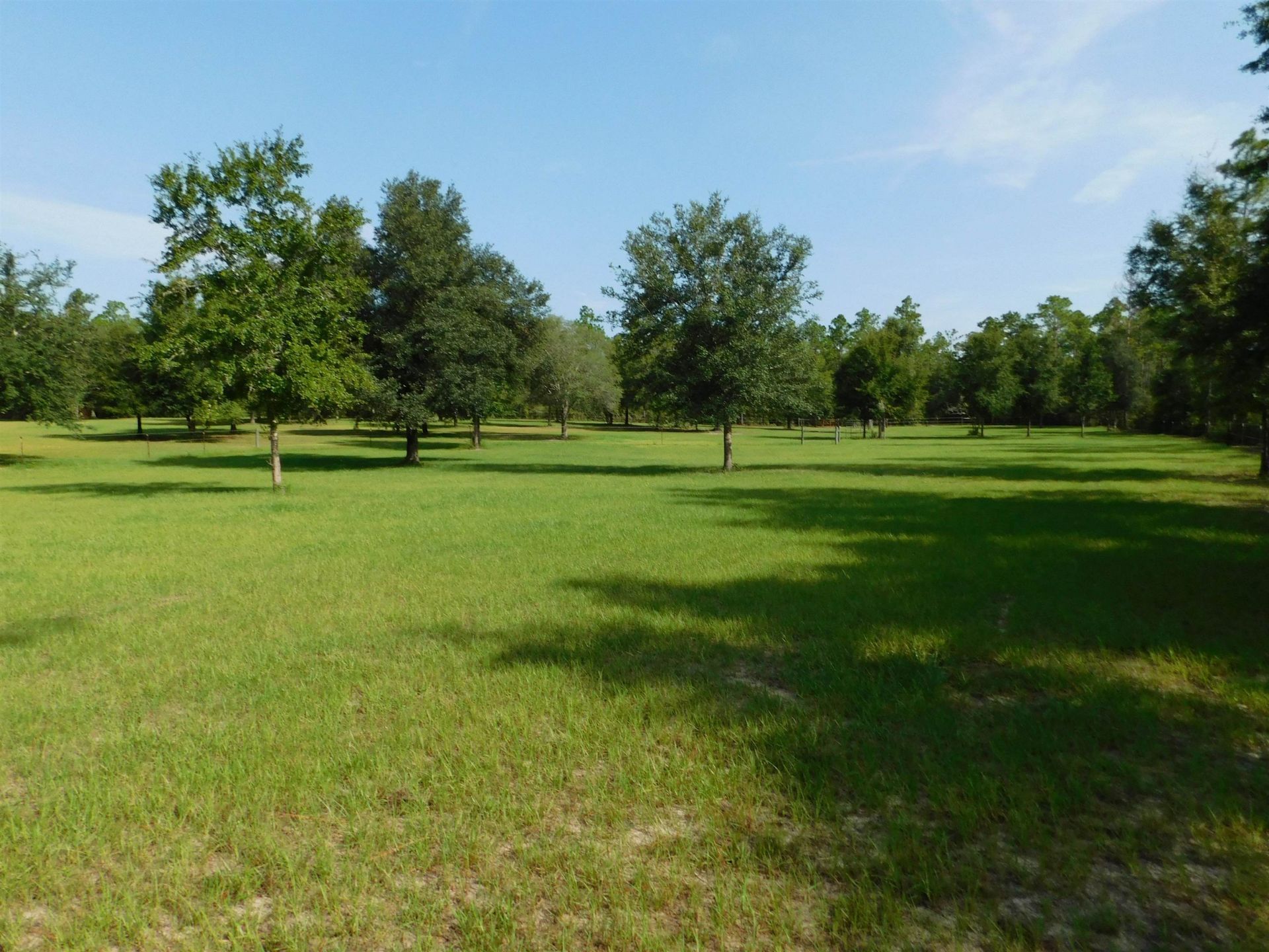 482 Rehwinkel Road, Crawfordville, FL 00000 Photo