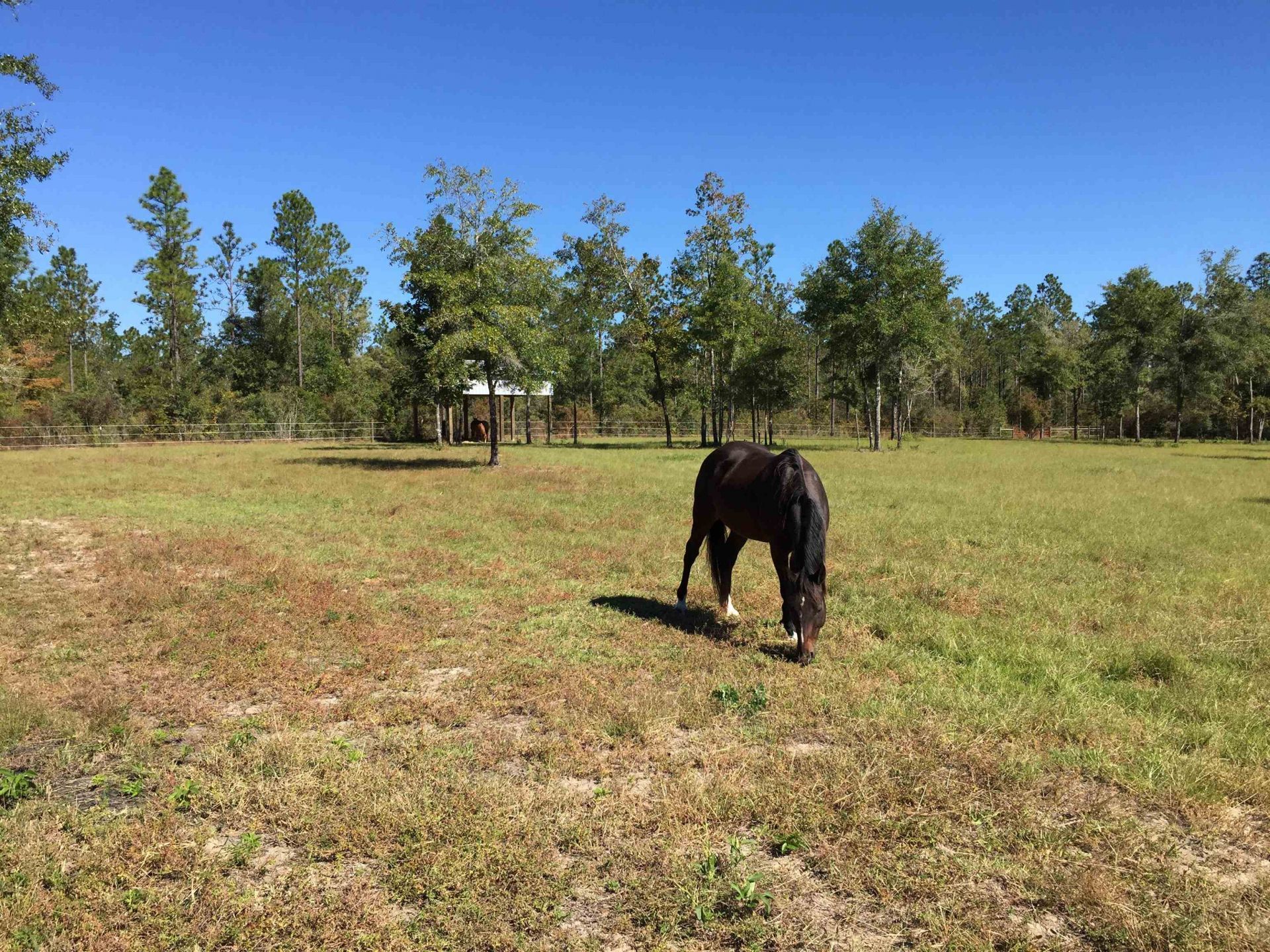 482 Rehwinkel Road, Crawfordville, FL 00000 Photo