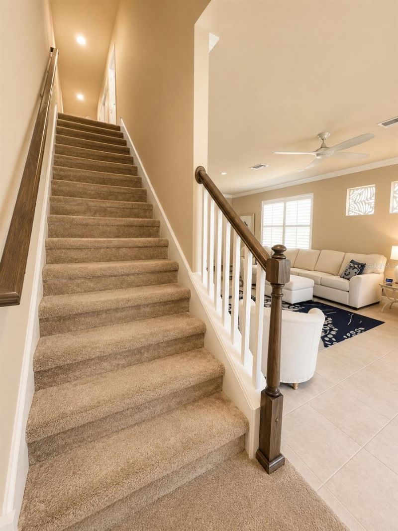 1879 Trailside Drive, Palm Harbor, FL 34683 Photo