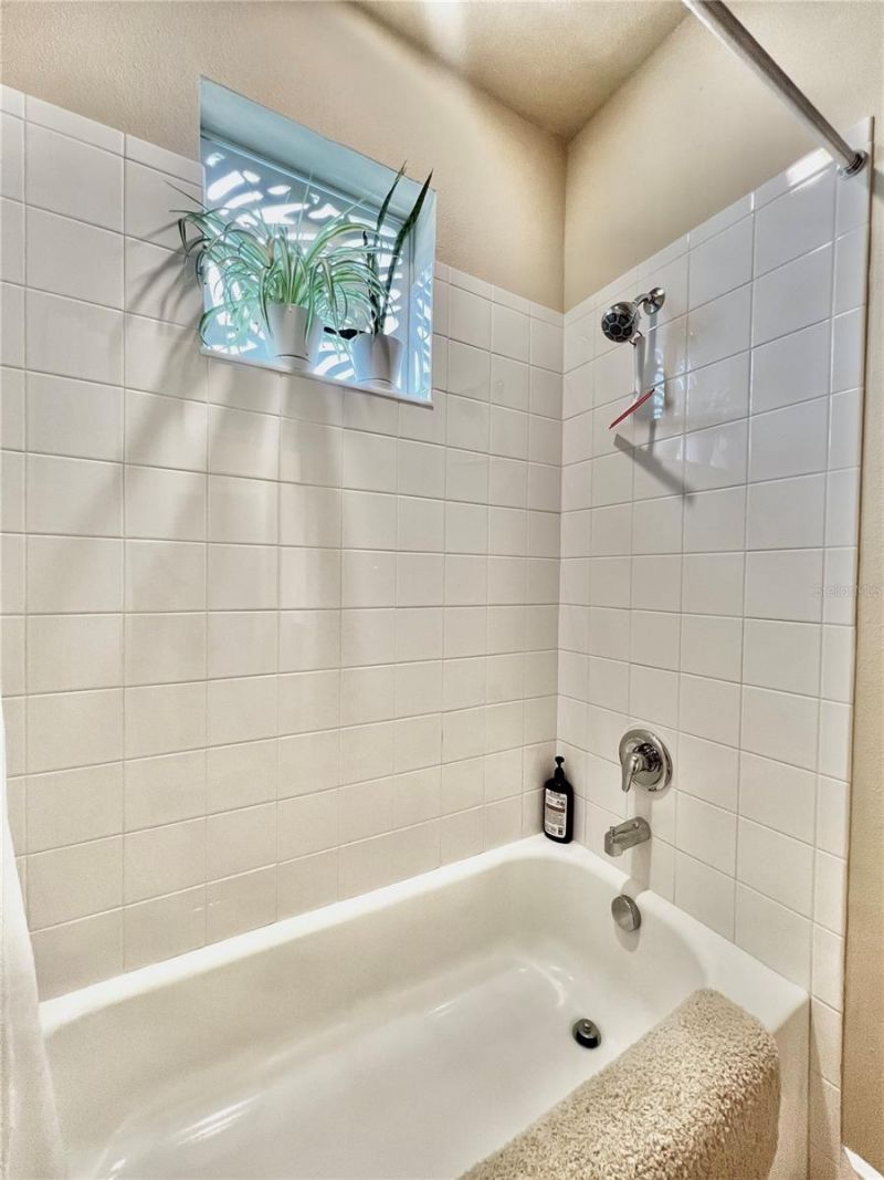 1879 Trailside Drive, Palm Harbor, FL 34683 Photo