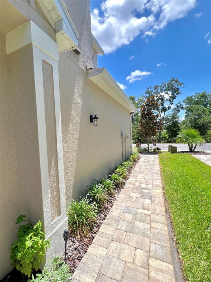 1879 Trailside Drive, Palm Harbor, FL 34683 Photo