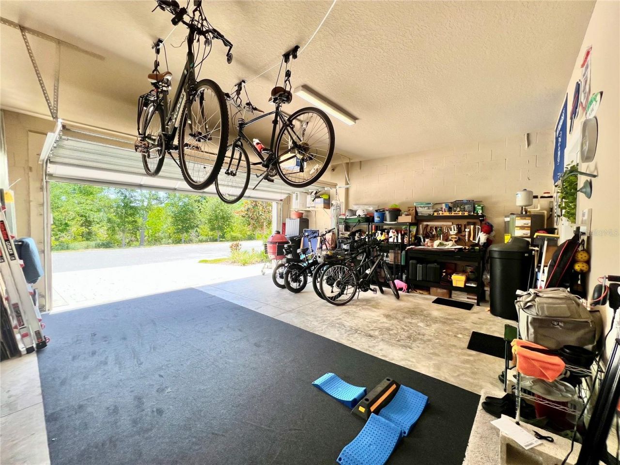 1879 Trailside Drive, Palm Harbor, FL 34683 Photo