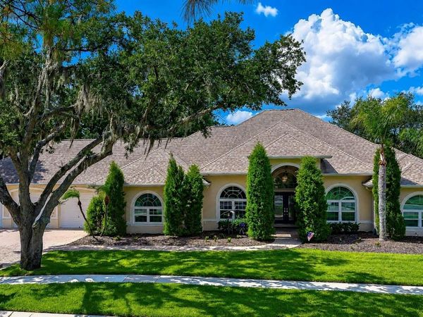 1009 EMERALD CREEK DRIVE , VALRICO, FL 33596