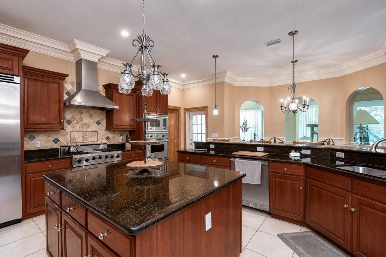 1009 Emerald Creek Drive, Valrico, FL 33596 Photo