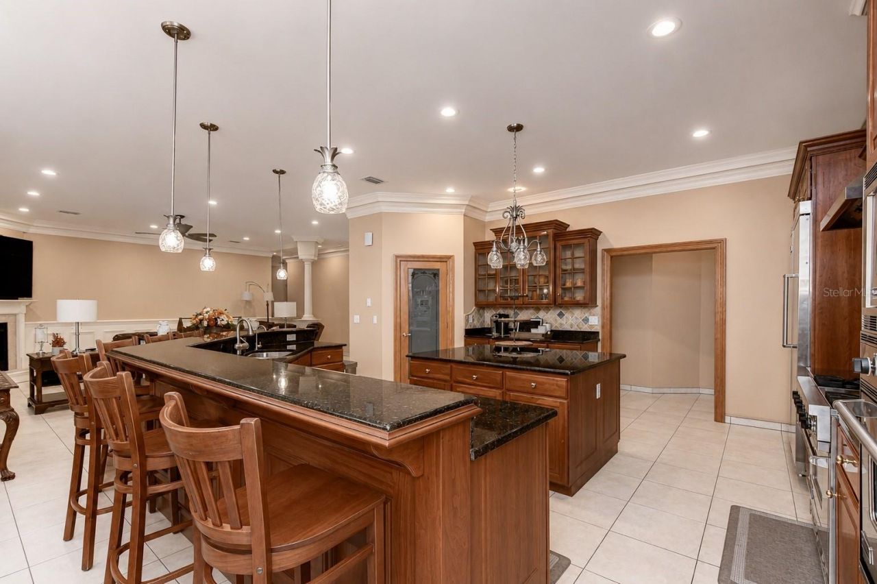 1009 Emerald Creek Drive, Valrico, FL 33596 Photo