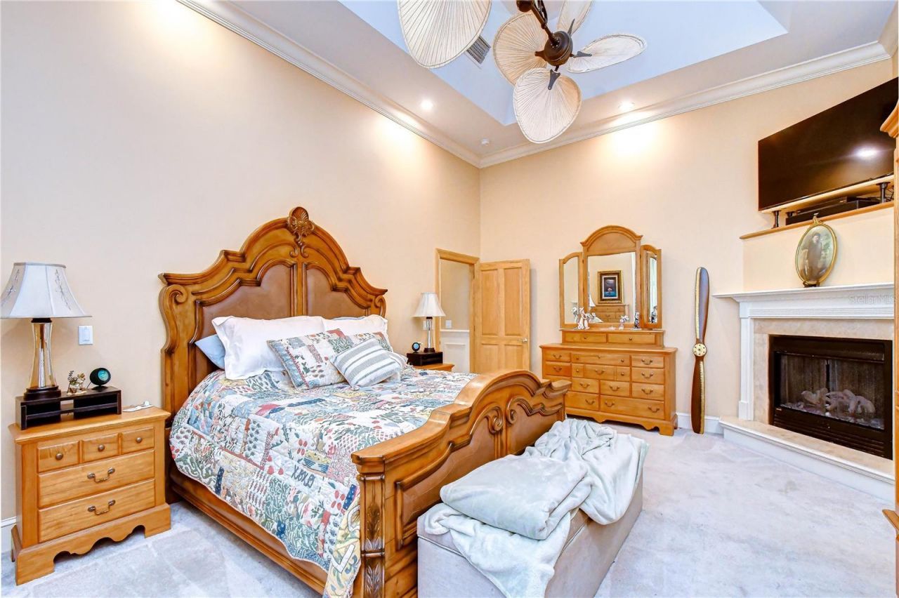 1009 Emerald Creek Drive, Valrico, FL 33596 Photo