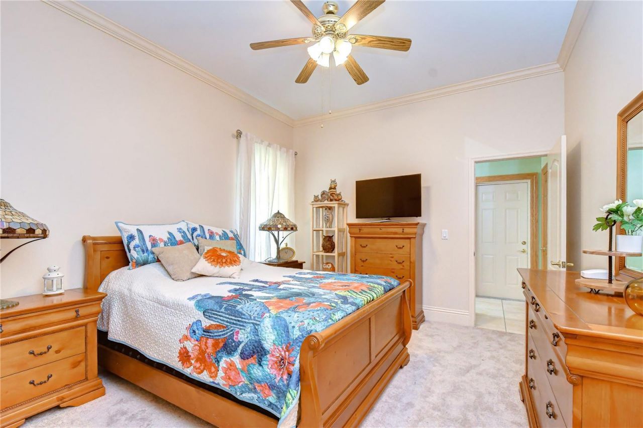 1009 Emerald Creek Drive, Valrico, FL 33596 Photo