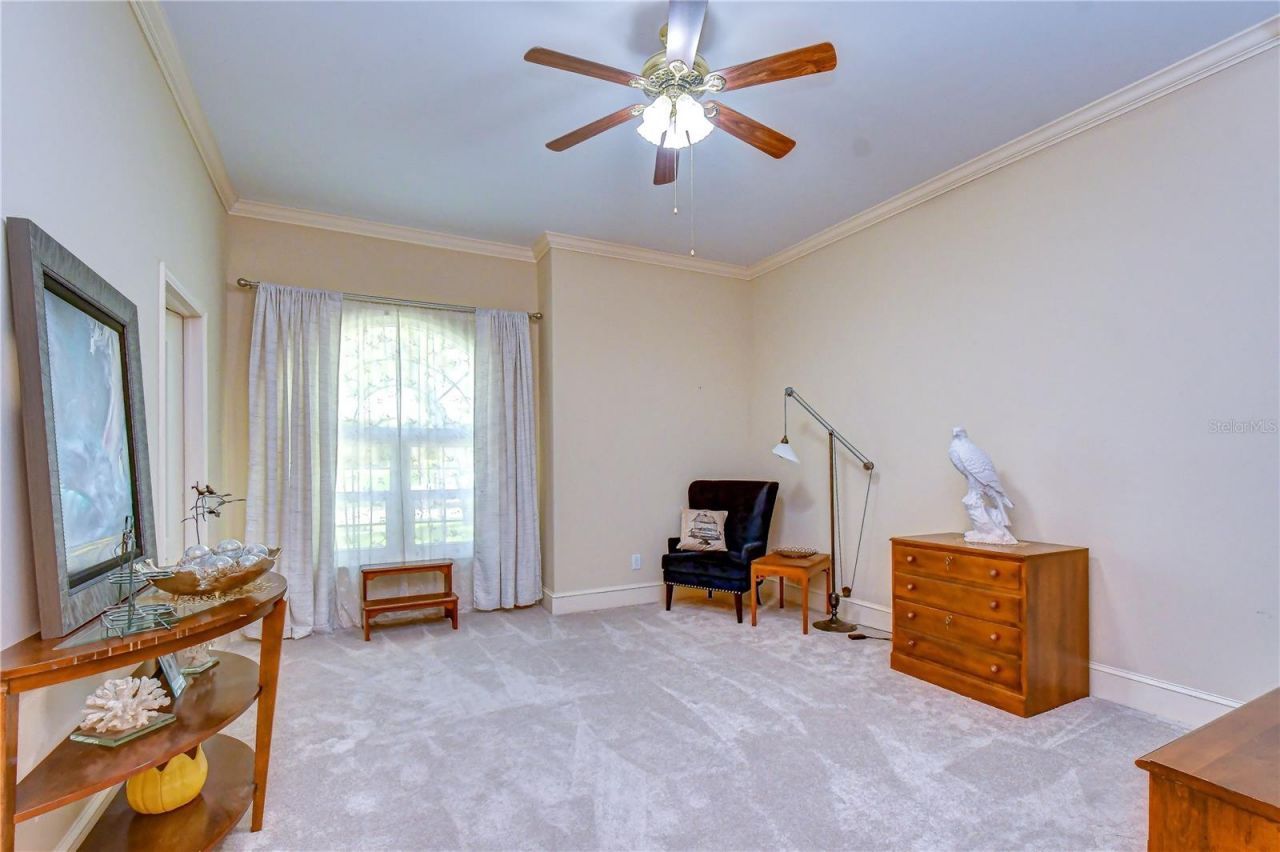 1009 Emerald Creek Drive, Valrico, FL 33596 Photo