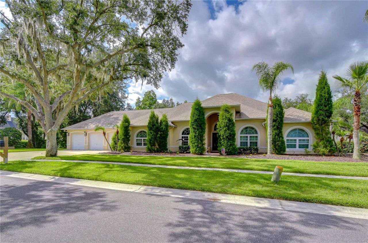 1009 Emerald Creek Drive, Valrico, FL 33596 Photo