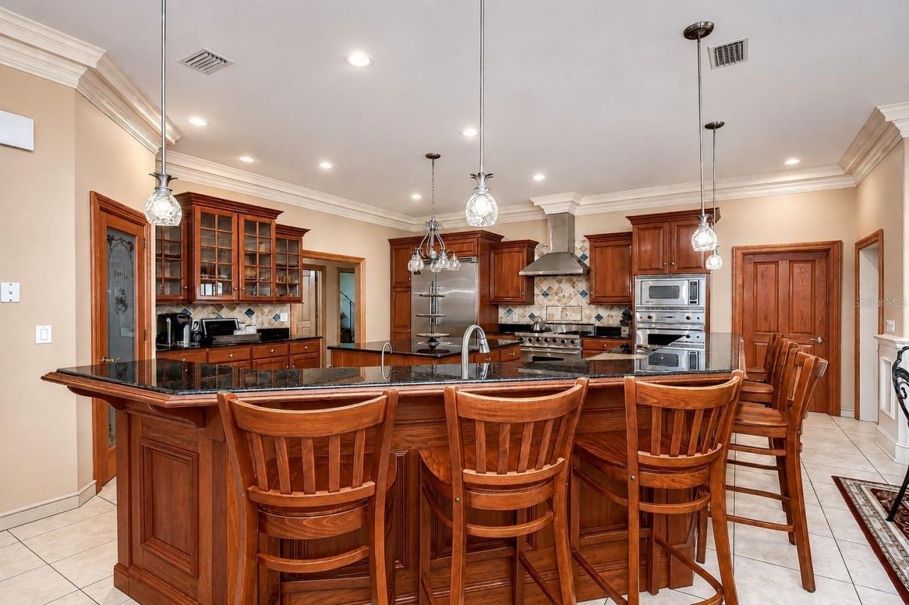 1009 Emerald Creek Drive, Valrico, FL 33596 Photo