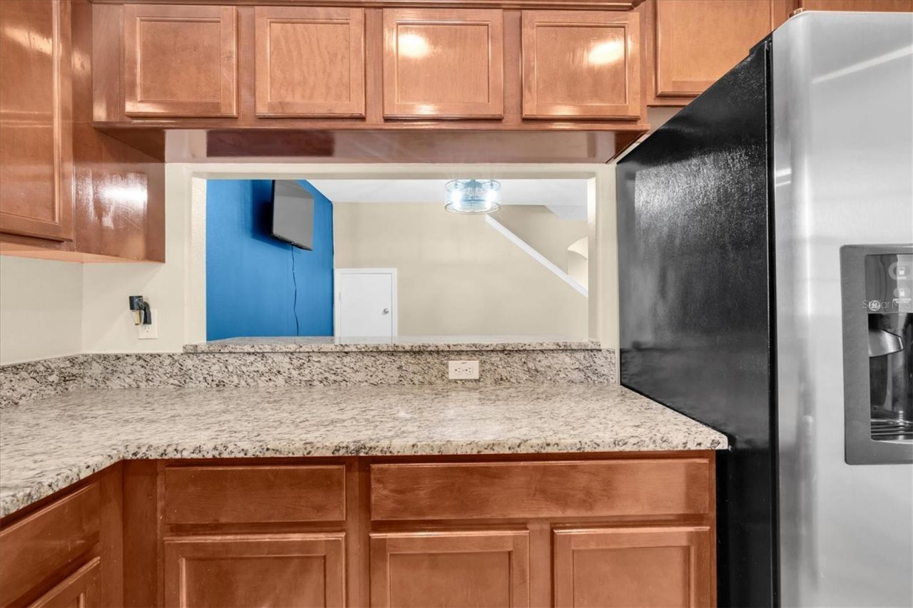 9782 Trumpet Vine Loop, Trinity, FL 34655 Photo