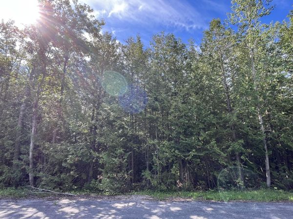 Lot 40 Firhaven Court, Presque Isle, MI 49777