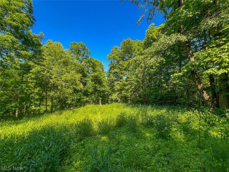 0 County Road 17, Rayland, OH 43943 Photo 10
