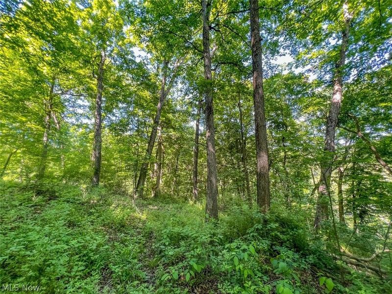 0 County Road 17, Rayland, OH 43943 Photo 13