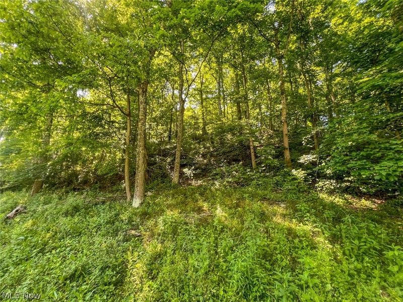 0 County Road 17, Rayland, OH 43943 Photo 18