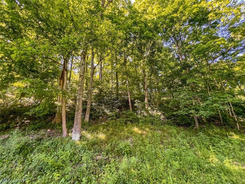 0 County Road 17, Rayland, OH 43943 Photo 3