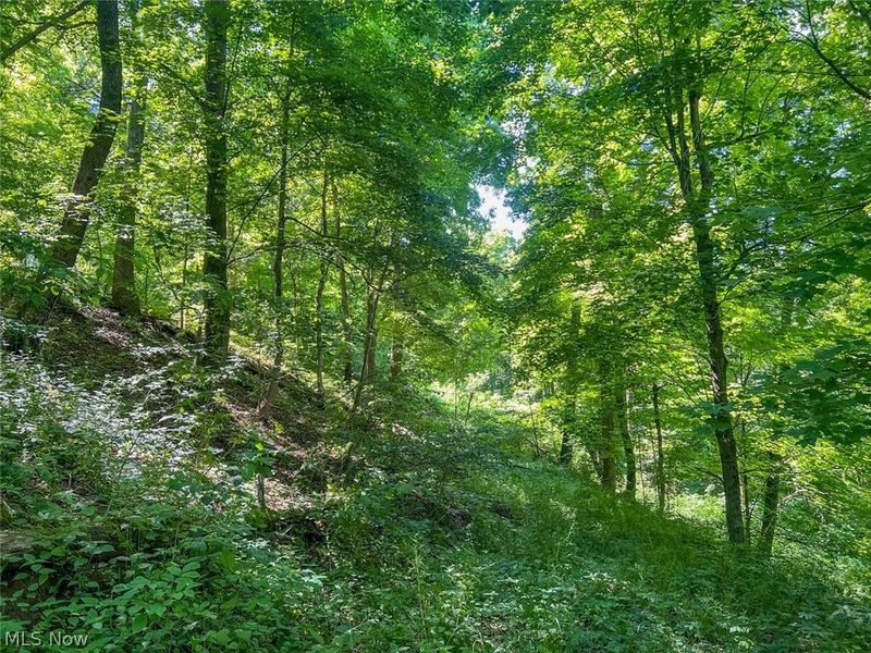0 County Road 17, Rayland, OH 43943 Photo 5