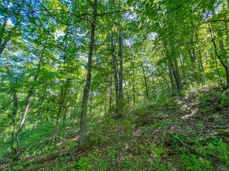 0 County Road 17, Rayland, OH 43943 Photo 6