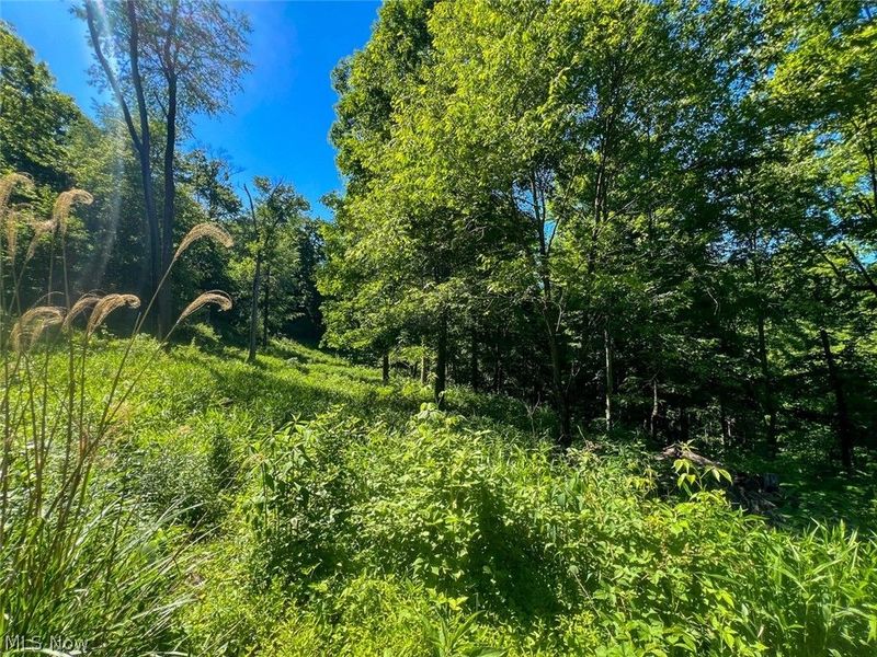 0 County Road 17, Rayland, OH 43943 Photo 7