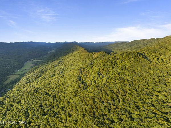 Spruce Pine (330 Acres) Rd, Mooresburg, TN 37811