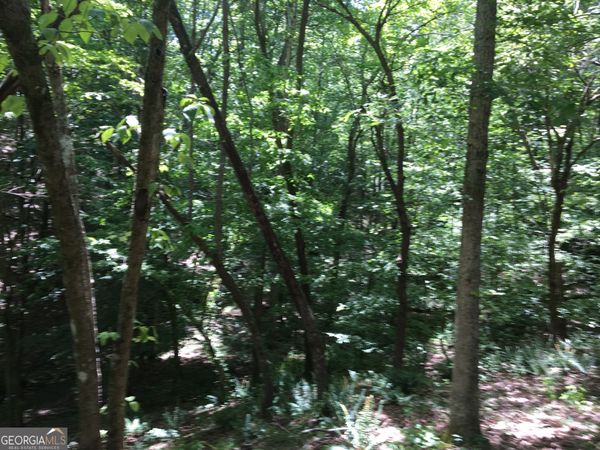 0 Damascus Road, Ball Ground, GA 30107