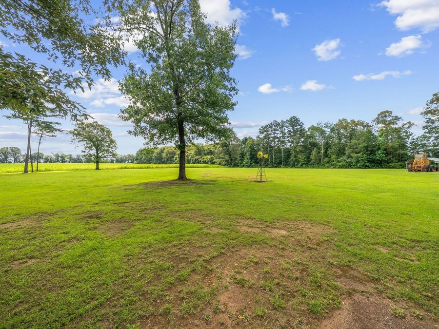 Property Image 86