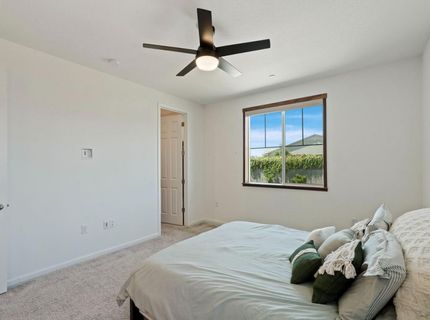 717 Cardoso Dairy Dr, Galt, CA 95632 Photo