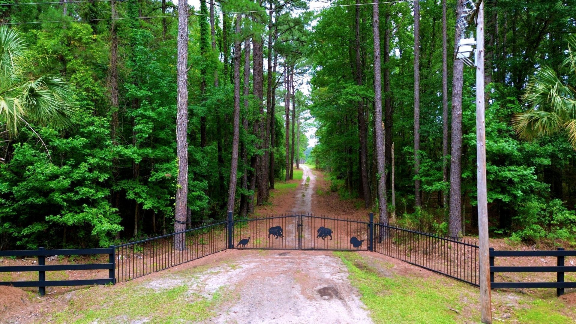 1970 Cross Swamp Road Photo 11
