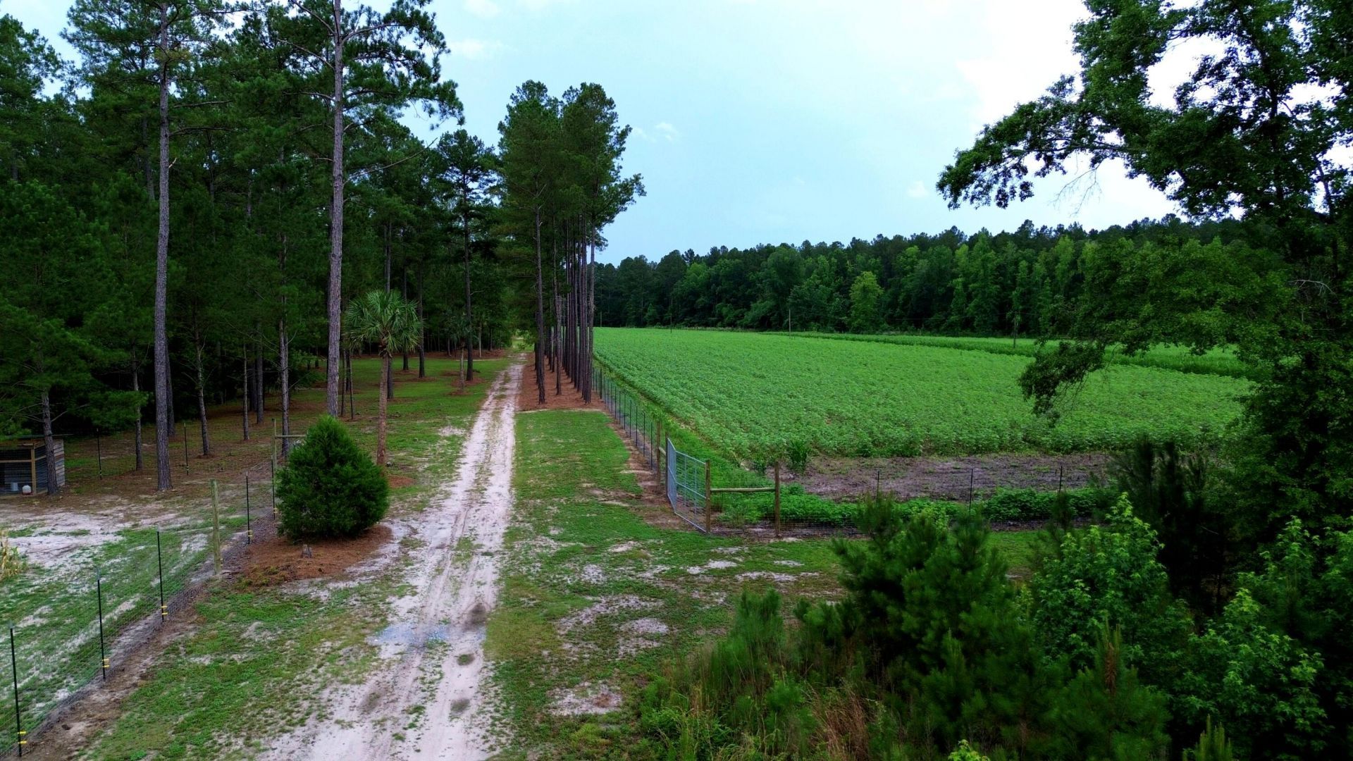 1970 Cross Swamp Road Photo 149